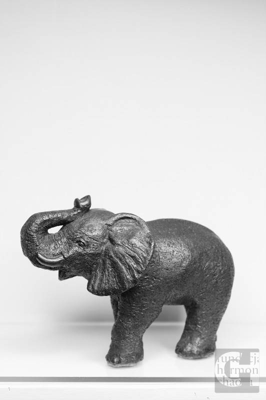 Słoń, grafit, wys. 17 cm, wyk. Marian Grzegoszczyk, własność prywatna, fot. Aneta Czarnocka-Kanik